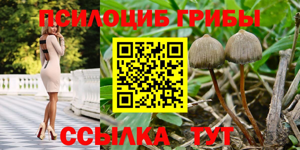 Лесной  Псилоцибиновые грибы ЛСД  Вход с VPN  Псилоцибиновые грибы GOLDEN TEACHER 